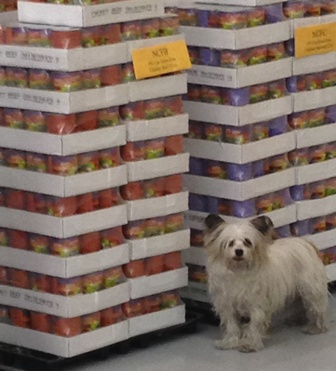 Great Life Pet Food Northland Warehouse 3