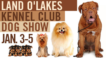 Land-O-Lakes Kennel Club Show, St Paul, MN 2014