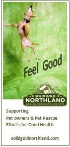 Solid Gold Northland banner